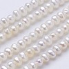 Natural Cultured Freshwater Pearl Beads Strands PEAR-F004-65-1