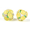 Fruit Round Resin Beads RESI-T059-03L-2