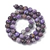 Natural Charoite Beads Strands G-C270-O02-05-3