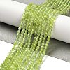 Natural Xiuyan Jade Beads Strands G-Z074-A04-02-1