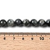 Natural Eagle Eye Stone Beads Strands G-G344-A05-8mm-5