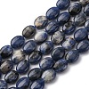 Natural Sodalite Beads Strands G-Z006-A39-2