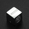 Non-Tarnish 201 Stainless Steel European Beads STAS-N090-LA062-I-1