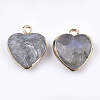 Electroplate Natural Labradorite Pendants X-G-T112-03A-2