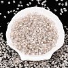 6/0 Transparent Inside Colours Glass Seed Beads SEED-N006-003A-2