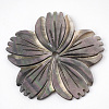 Black Lip Shell Beads SSHEL-S251-11-2