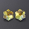 Electroplated Glass Charms EGLA-N006-015D-4