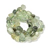 Natural Prehnite Beads Strands G-P497-01E-39-3