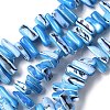 Dyed Natural Trochus Shell Beads Strands SSHEL-C013-09F-1