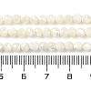 Shell Beads Strands SSHEL-E571-38-4mm-5