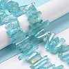 Natural Quartz Crystal Points Beads Strands G-K181-B11-4