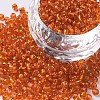 8/0 Glass Seed Beads SEED-A005-3mm-29-1