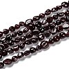 Natural Garnet Beads Strands G-G018-22-1