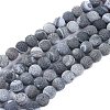 Natural Weathered Agate Beads Strands G-L534-04-10mm-1