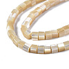 Natural Trochid Shell/Trochus Shell Beads Strands SSHEL-S266-009-3