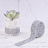 Glitter Resin Hotfix Rhinestone(Hot Melt Adhesive On The Back) OCOR-WH0052-01F-5