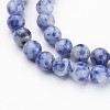 Natural Blue Spot Jasper Bead Strands X-GSR6mmC036-2