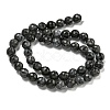 Natural Larvikite Beads Strands G-E571-A09-02-3