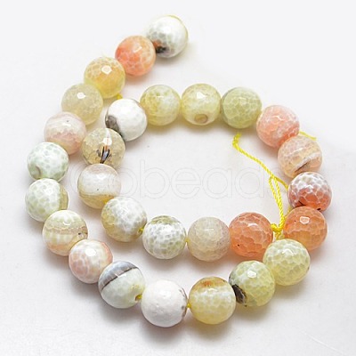Natural Fire Agate Beads Strands G-L084-14mm-39-1