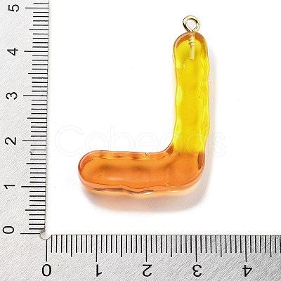 Resin Pendant FIND-Q107-01L-01-1
