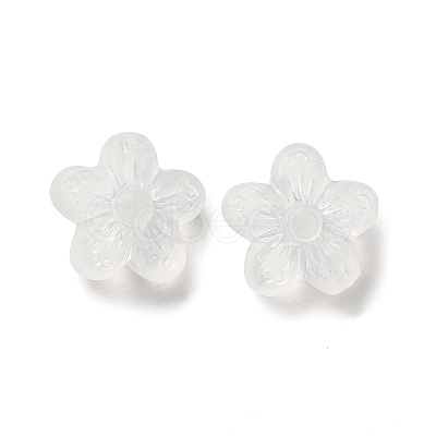 Transparent Acrylic Beads LS-OACR-L013-006-1