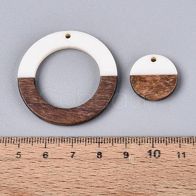 12Pcs 6 Styles Opaque Resin & Walnut Wood Pendants RESI-N053-21-1