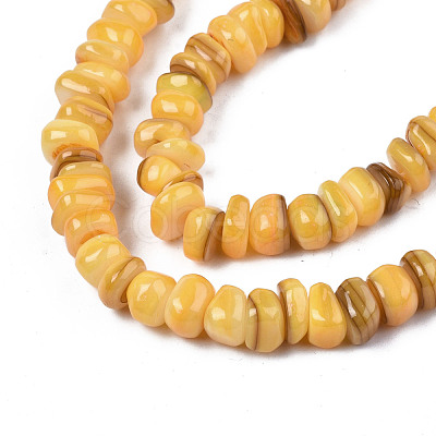 Natural Trochid Shell/Trochus Shell Beads Strands SHEL-S258-081-B11-1