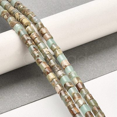 Natural Aqua Terra Jasper Beads Strands G-F765-F03-01-1