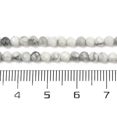 Natural Howlite Beads Strands G-C181-B03-02-1
