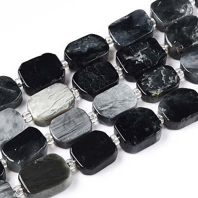 Natural Eagle Eye Stone Beads Strands G-T138-05-1