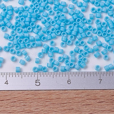 MIYUKI Delica Beads SEED-MY11-DB0879-1