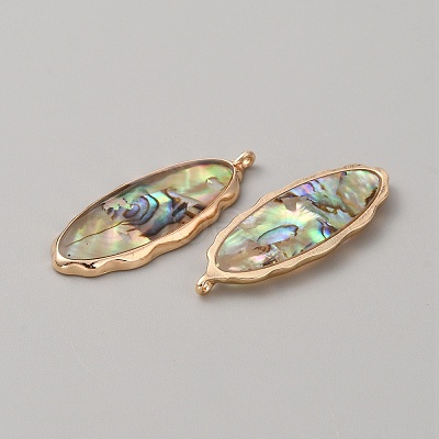 Resin Imitation Abalone Paua Shell Pendants FIND-WH0417-12B-1