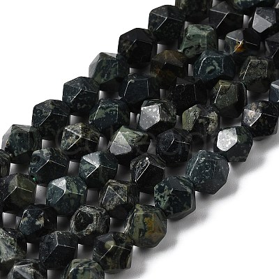 Natural Kambaba Jasper Beads Strands G-Z119-A20-02-1