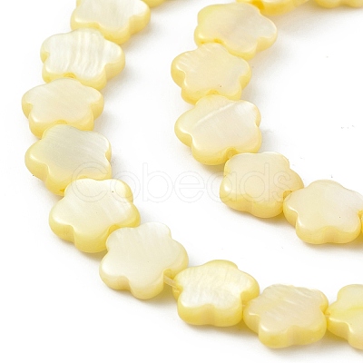 Natural Freshwater Shell Dyed Beads Strands SHEL-K001-001C-1