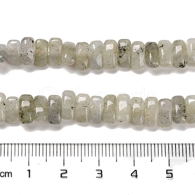 Natural Labradorite Beads Strands G-Q167-B19-01-1