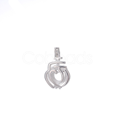 Hollow Brass Bead Cage Pendants FIND-PW0024-27A-1