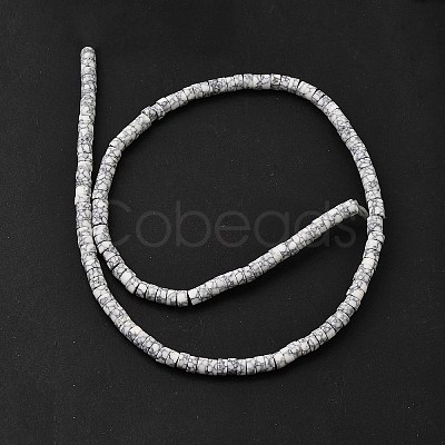 Dyed Synthetic Turquoise Beads Strands G-Z089-A04-A-1