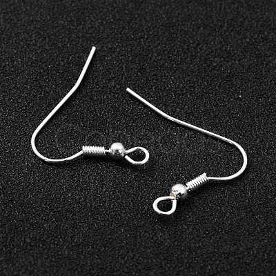 304 Stainless Steel Earring Hooks STAS-L258-001B-S-1