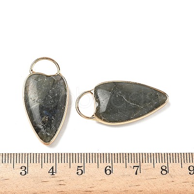 Natural Labradorite Pendants G-I393-01G-08-1