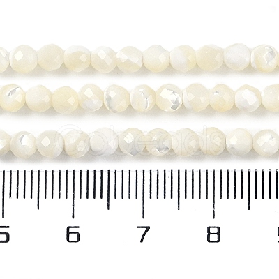 Shell Beads Strands SSHEL-E571-38-4mm-1