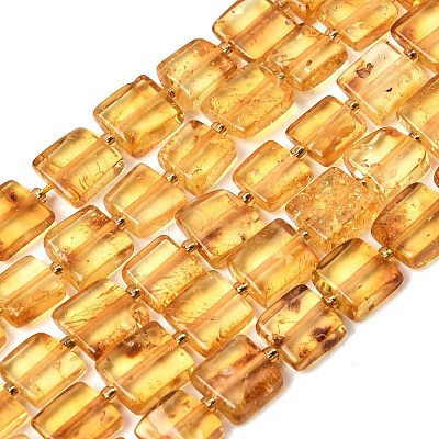 Natural Amber Beads Strands G-C260-A01-03-1