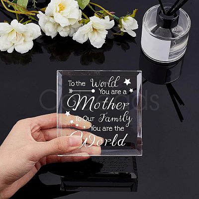 Transparent Glass Display Decorations DIY-WH0212-001-1