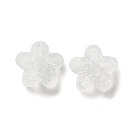 Transparent Acrylic Beads LS-OACR-L013-006-1