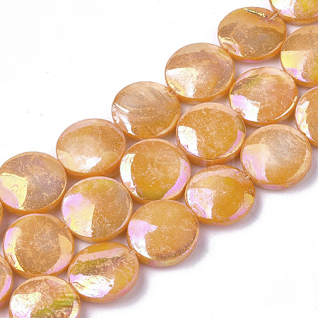 Freshwater Shell Beads Strands LS-SHEL-S274-52D-1