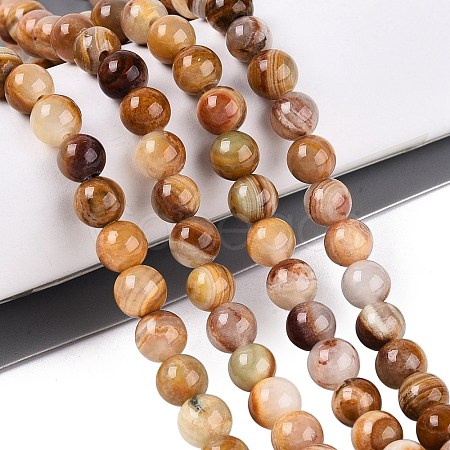 Natural Wood Lace Stone Wooden Jasper Beads Strands G-B128-A04-02-1