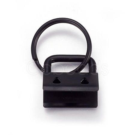 Electrophoresis Iron Split Key Rings IFIN-WH0044-02A-1