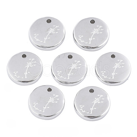 Non-Tarnish 316 Surgical Stainless Steel Charms STAS-S116-418J-P-1