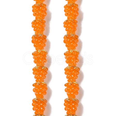 Handmade Lampwork Beads Strands LAMP-Q036-05E-1