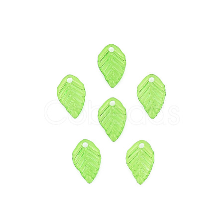 Transparent Acrylic Charms X-TACR-T012-04-1