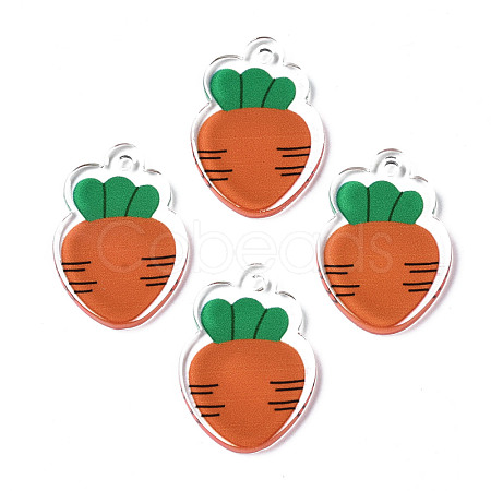 Translucent Acrylic Pendants TACR-N013-008-1